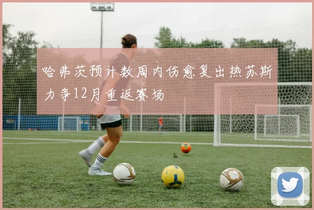 哈弗茨预计数周内伤愈复出热苏斯力争12月重返赛场