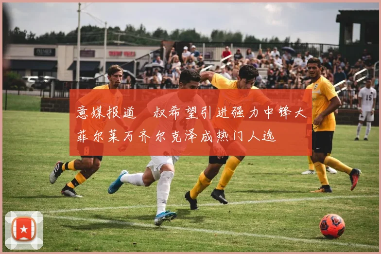 意媒报道囧叔希望引进强力中锋大菲尔莱万齐尔克泽成热门人选
