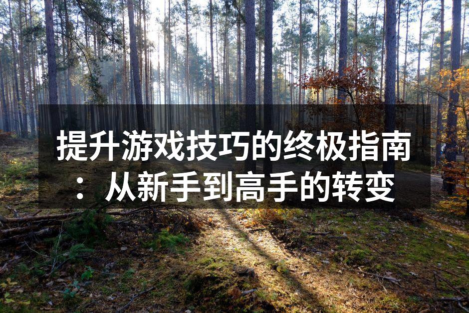 提升游戏技巧的终极指南：从新手到高手的转